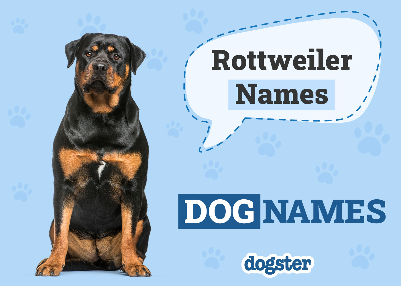 Dogster_Rottweiler Names