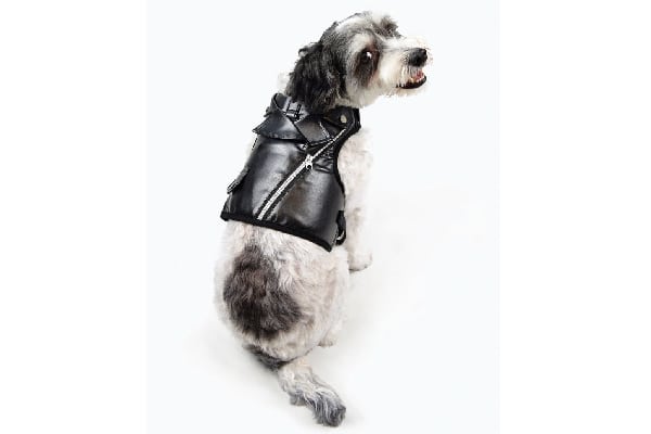 martha stewart pet harness