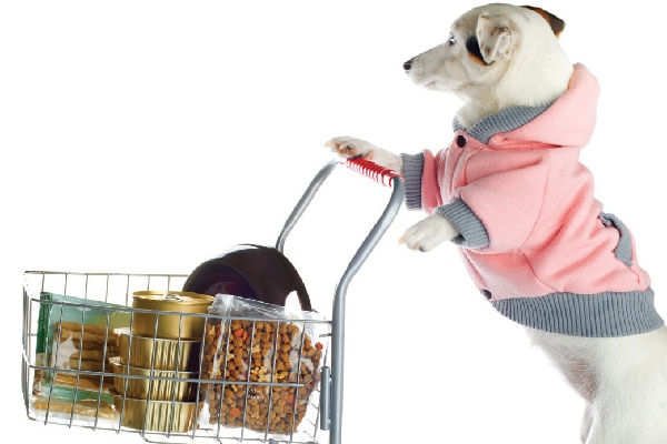 A dog food shopping with a shopping cart.