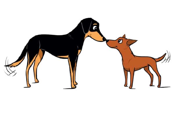 Dog Decoder App, Illustrations by Lili Chin.