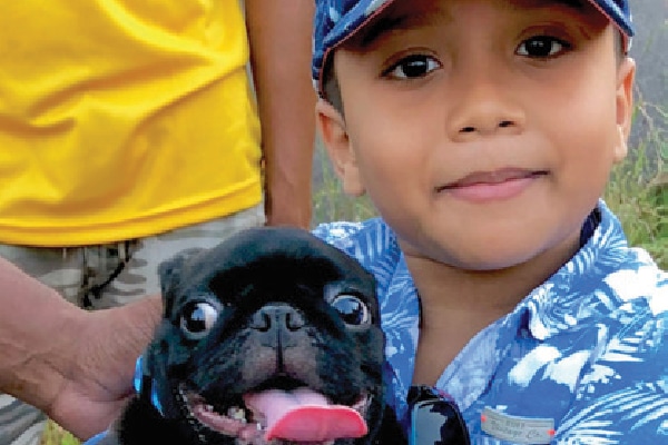 This young boy’s Pug was vaccinated, and the boy given a Mission Rabies wristband.