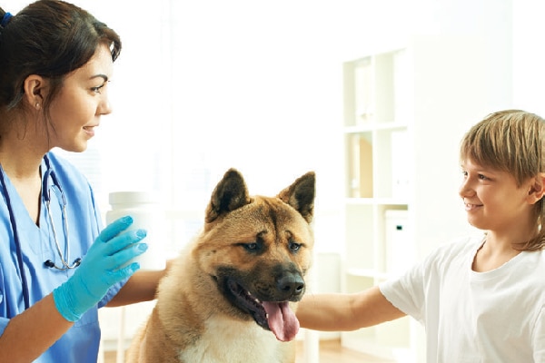 Un vétérinaire, un chien et un jeune garçon.