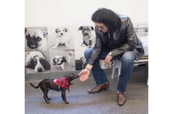 Gene Simmons