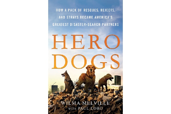 Hero Dogs.