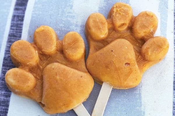 Pumpkin Pawpsicle