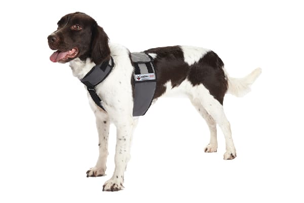 $24.99—$39.99. Cooling Vest and Collar; coolerdog.com