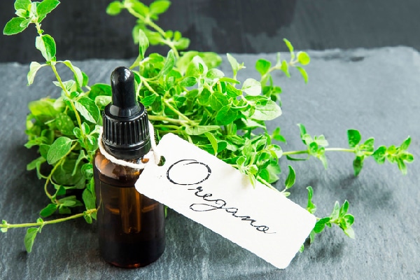  Oregano oil.