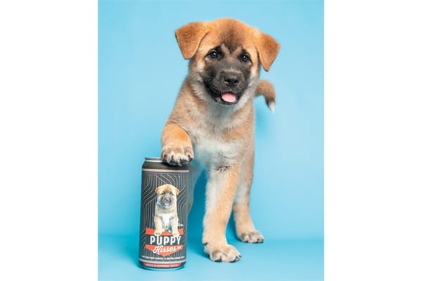 Photo courtesy of Scottsdale Beer Co.