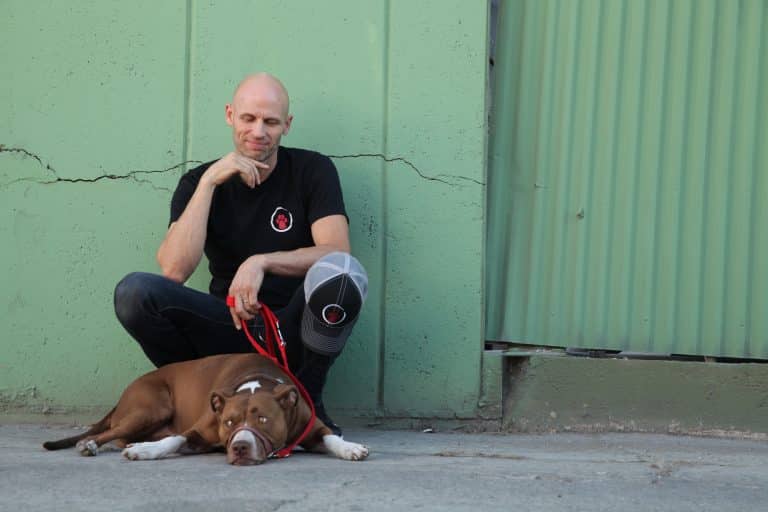 Dug Up at Dogster Interview with Dog Impossible's Dog Behavior