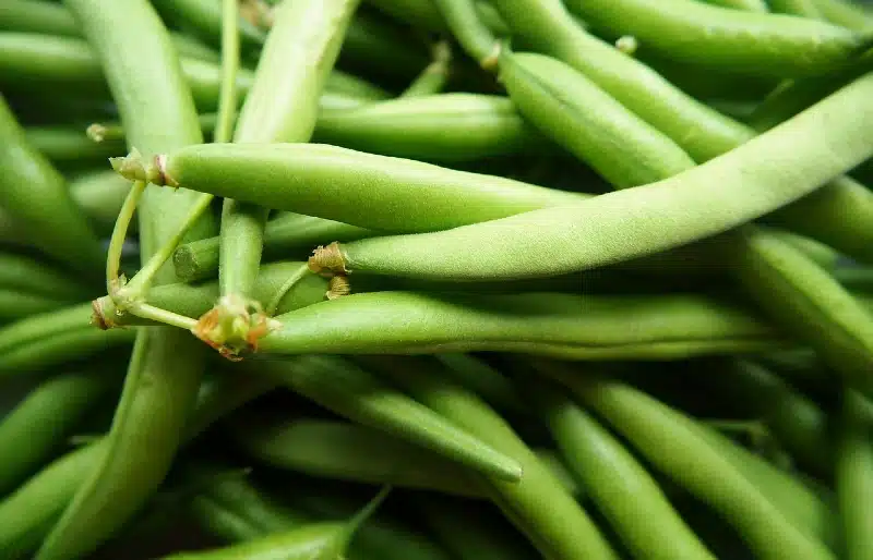 close up of green beans