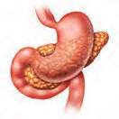 Pancreatic Cancer