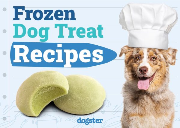 Frozen Dog Treat Recipes