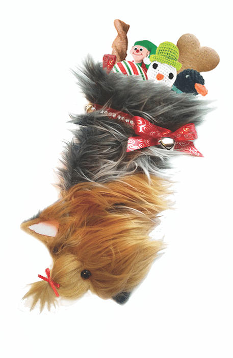 best dog gifts