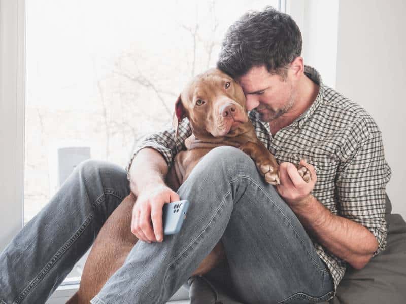 man looking sad hugging his pitbull dog