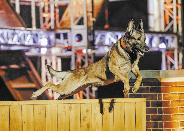 A&E's America's Top Dog
