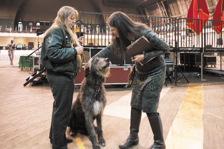 american kennel club canine good citizen