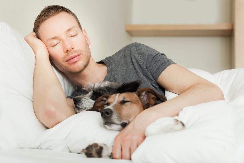 man-owner-sleeping-with-his-dog