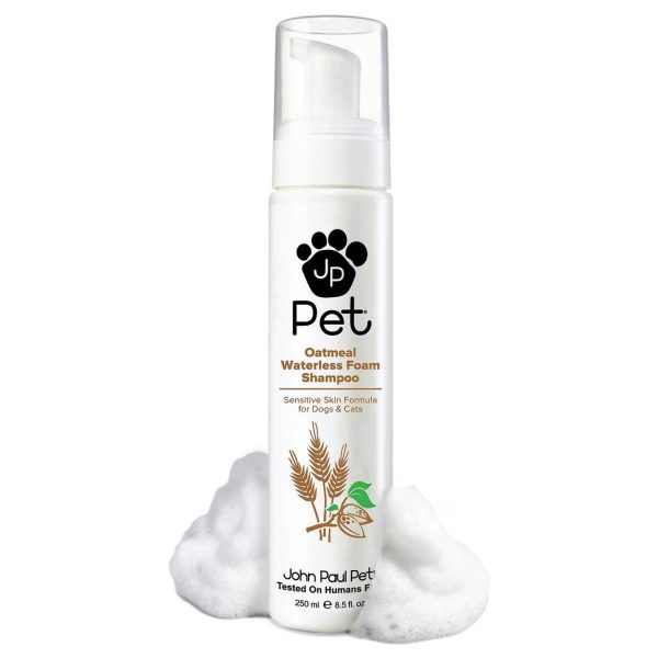 10 Best Waterless Dog Shampoos in 2024 Reviews & Top Picks Dogster