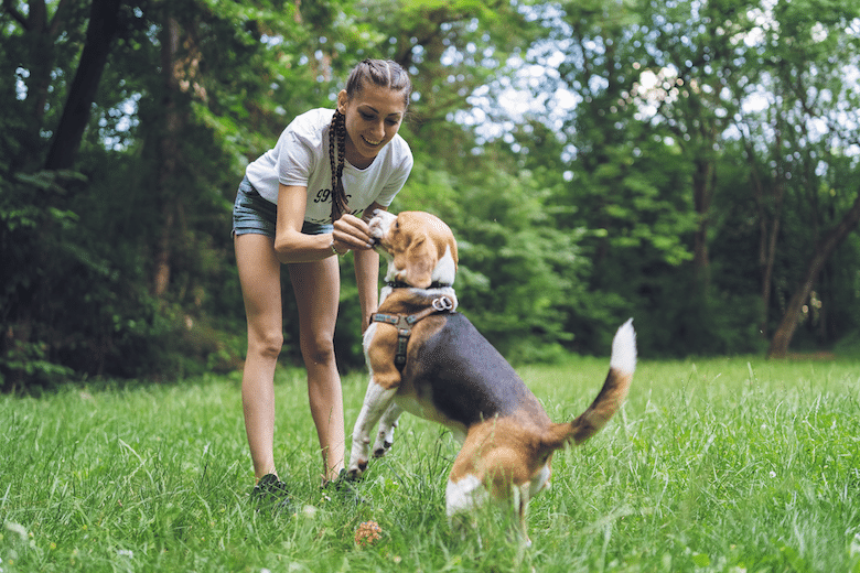 your dog's zen