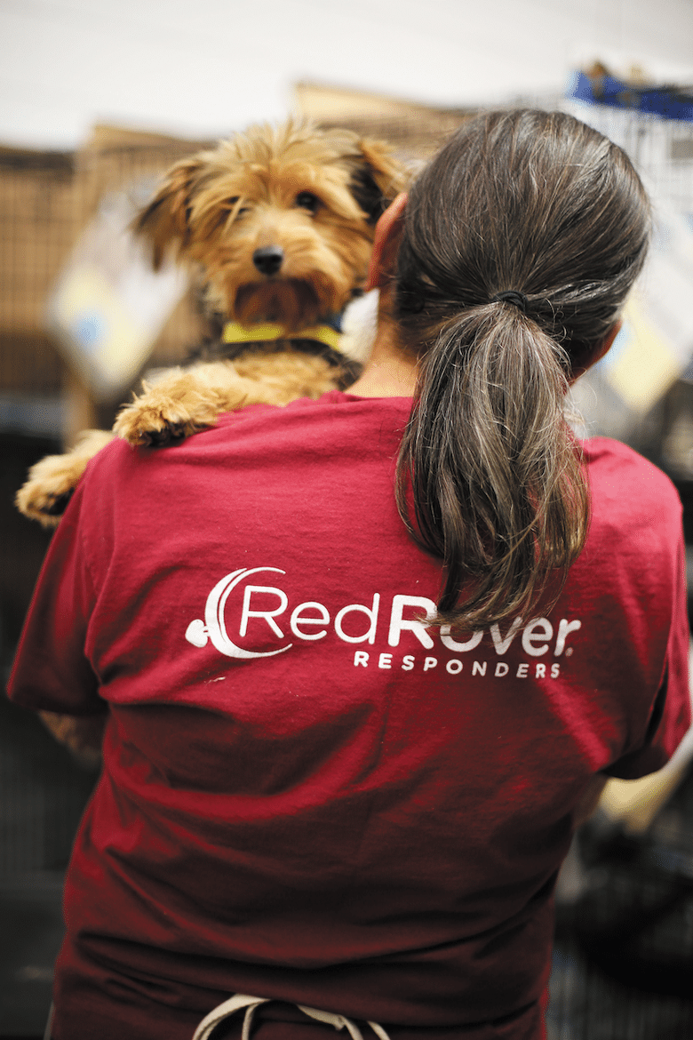 Disaster Relief for pets