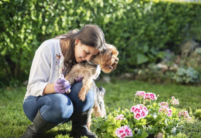 Gardening With Dogs Tips for Creating a PetSafe Garden Dogster