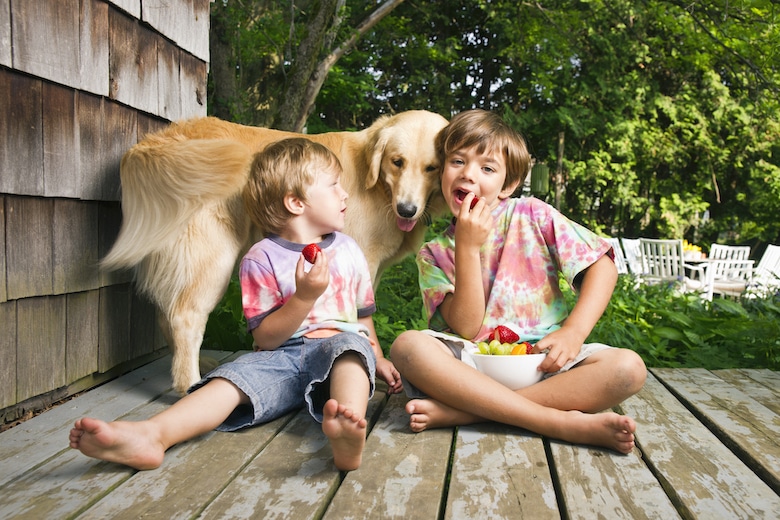 These Healthy Fruits and Veggies Make Good Snacks For Dogs With Pancreatitis
