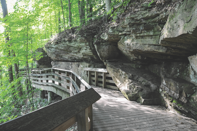 Dog-Friendly National Parks