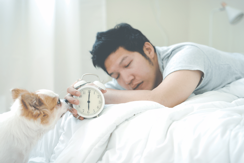 Engage Your Dog