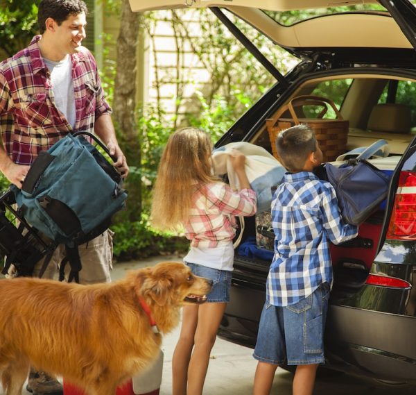 road trip with your dog