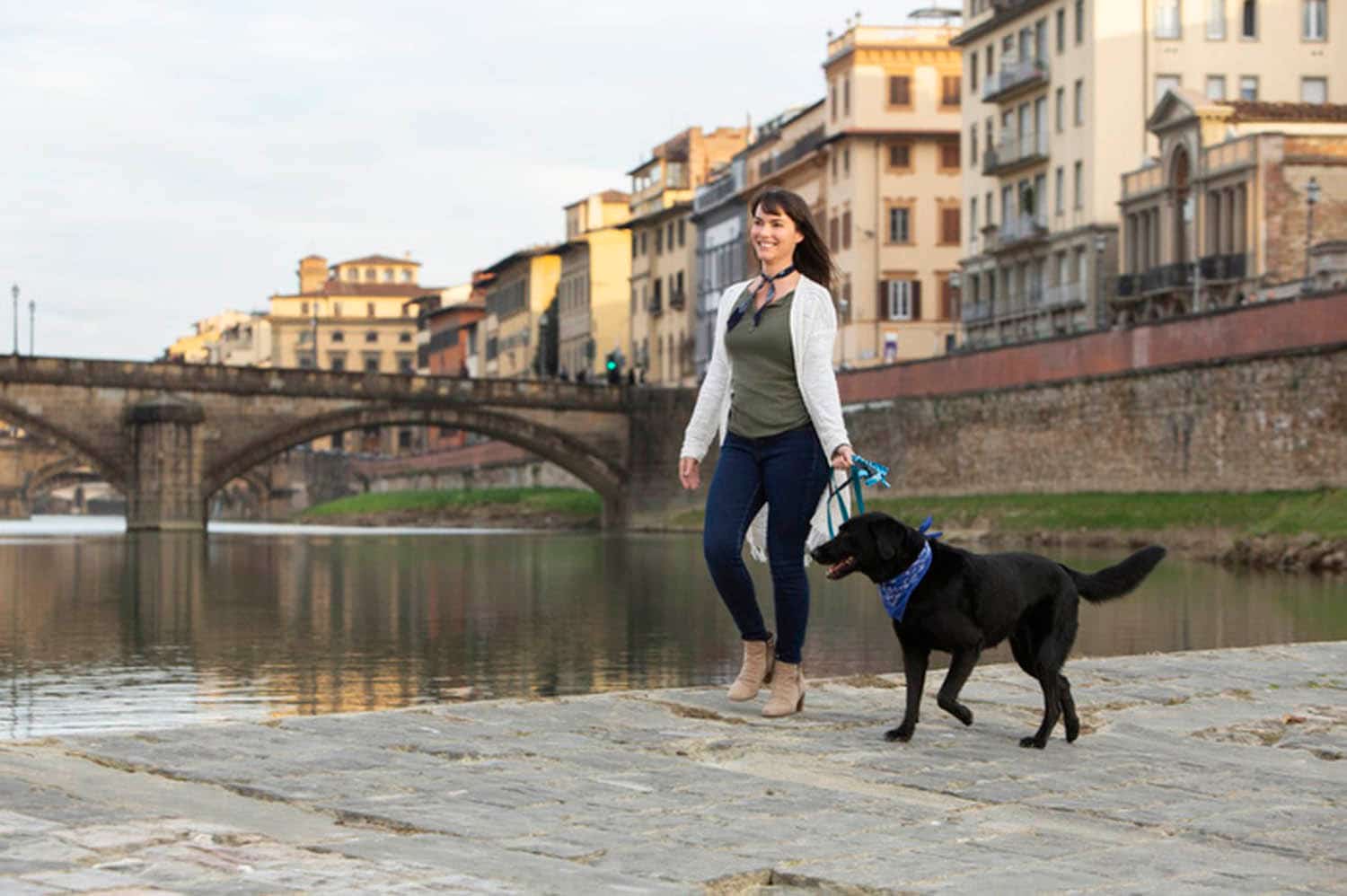 Check Out New Dog Reality Show Amazon Prime’s The Pack Pet Voice