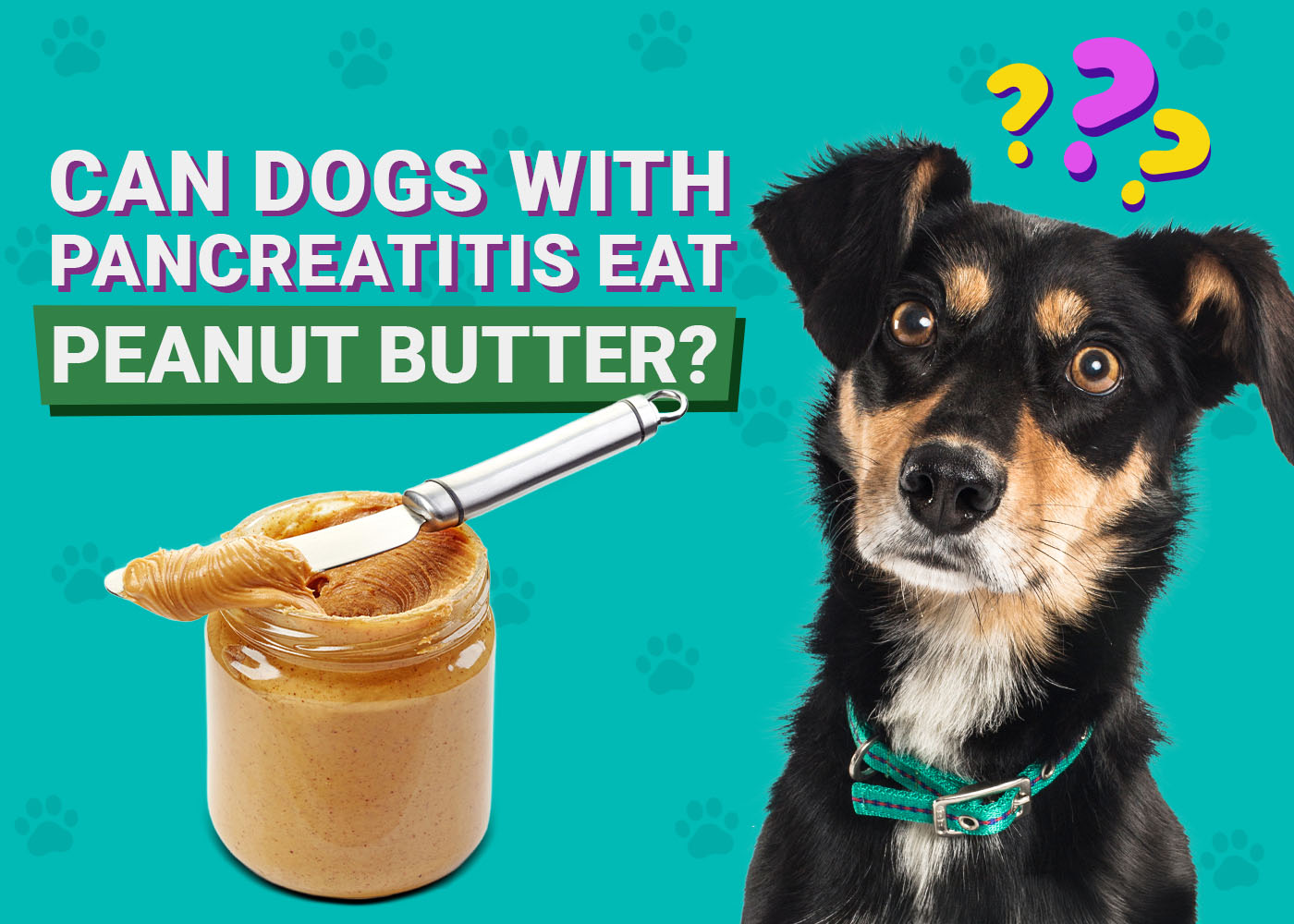 Can Dogs With Pancreatitis Eat Peanut Butter Our Vet Explains Dogster