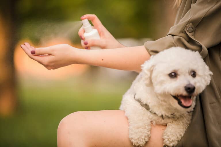Is Hand Sanitizer Safe For Dogs? Dogster