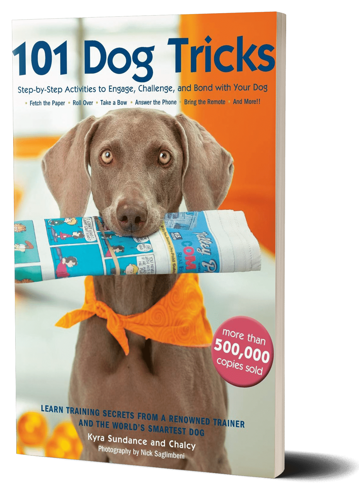 101 dog tricks book cover