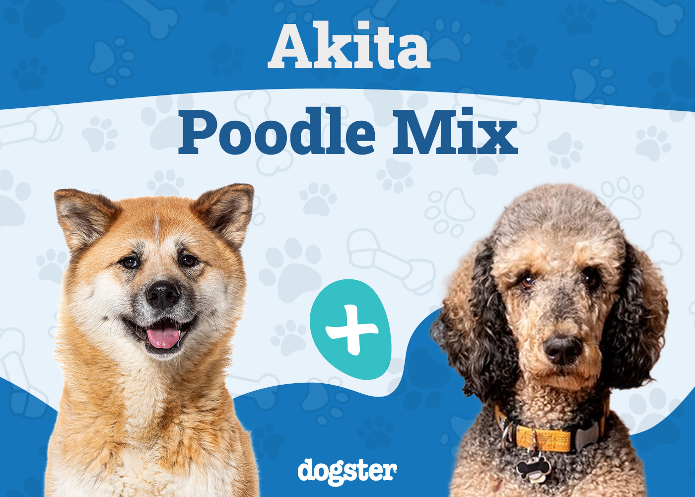 Aki Poo Mix