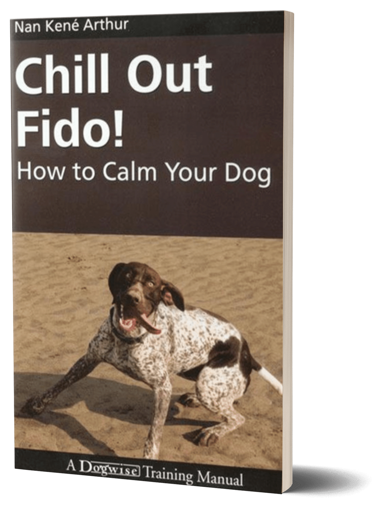 chill out fido how to calm your dog book cover