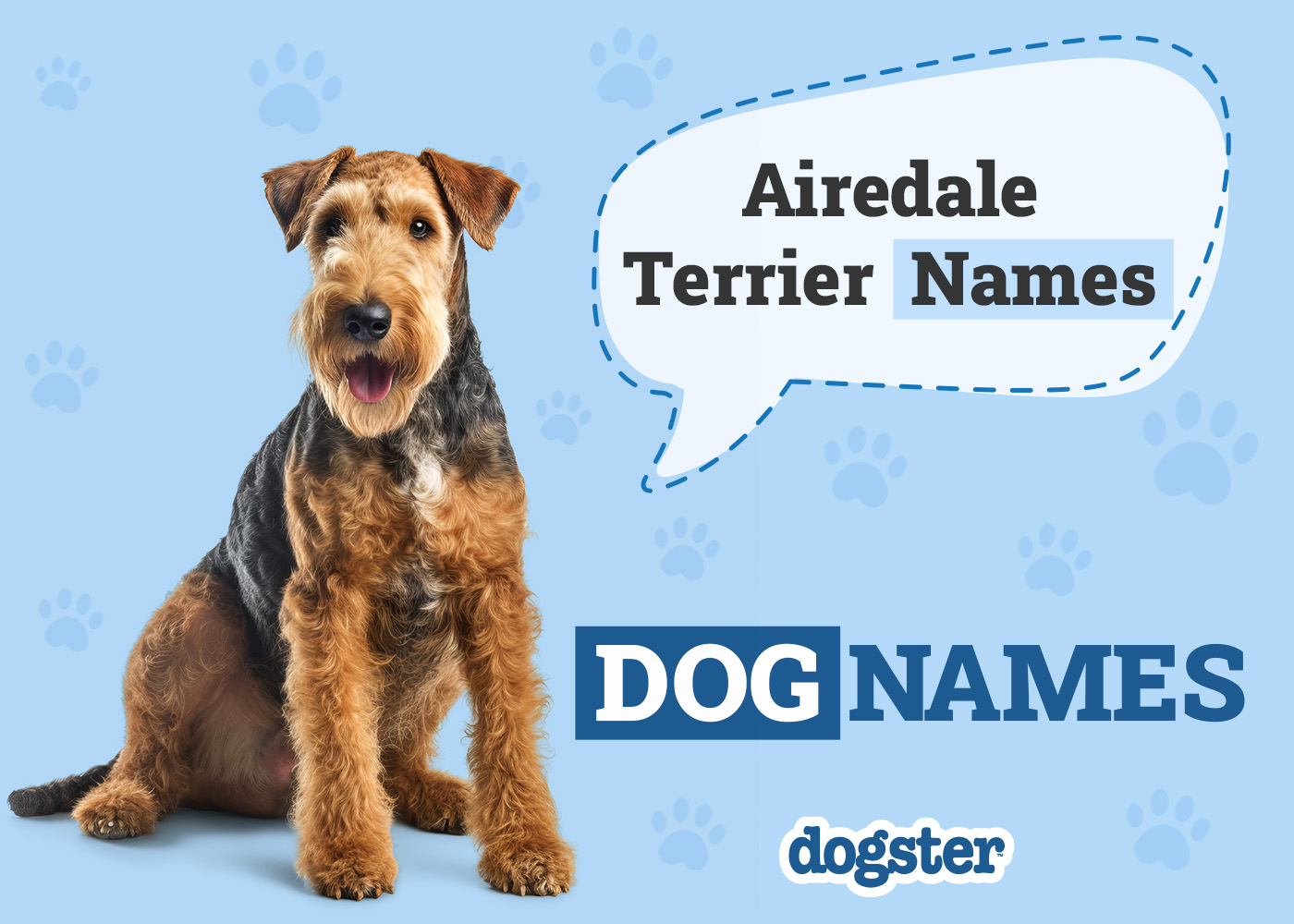 Dogster_Airedale Terrier Names