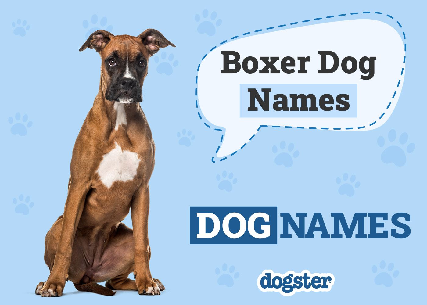 Boxer dog names discount