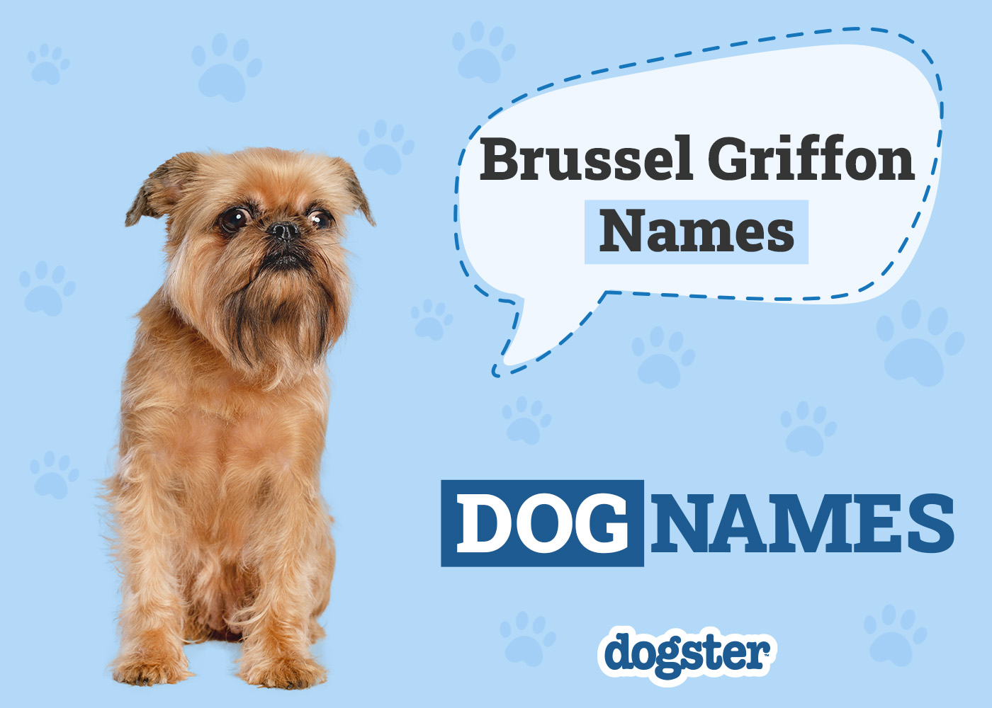 Dogster_Brussel Griffon Names