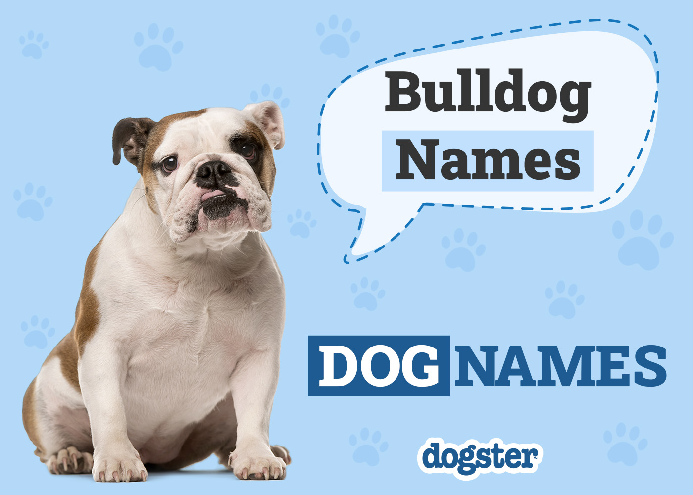Dogster_Bulldog Names
