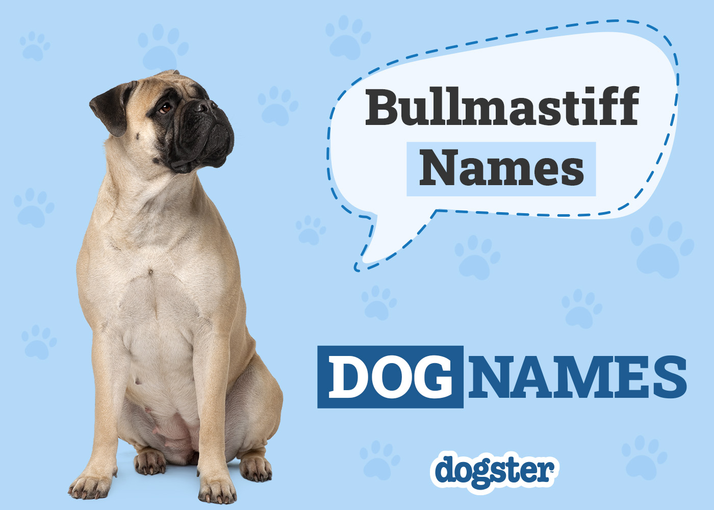 Dogster_Bullmastiff Names