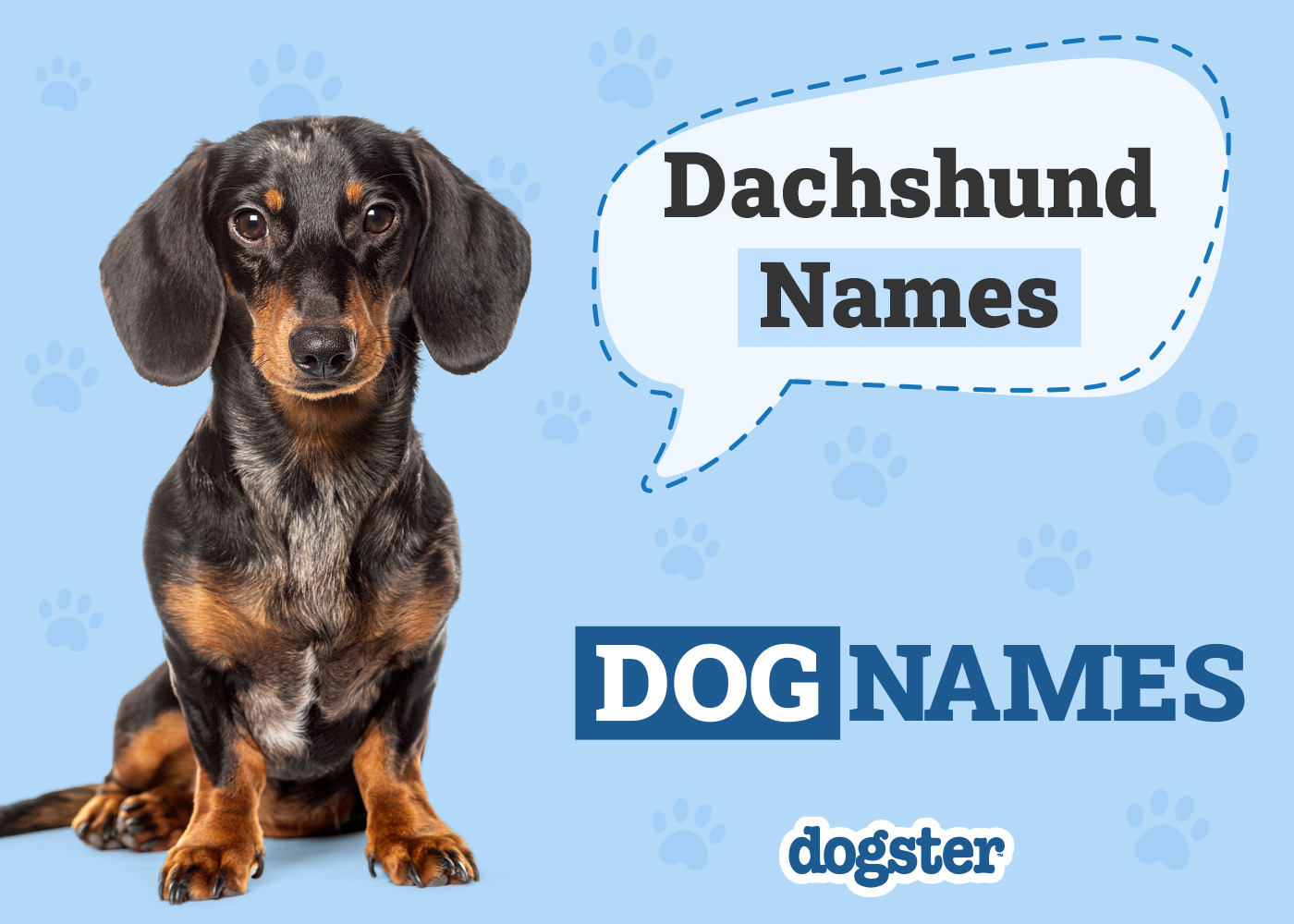 Dogster_Dachshund Names