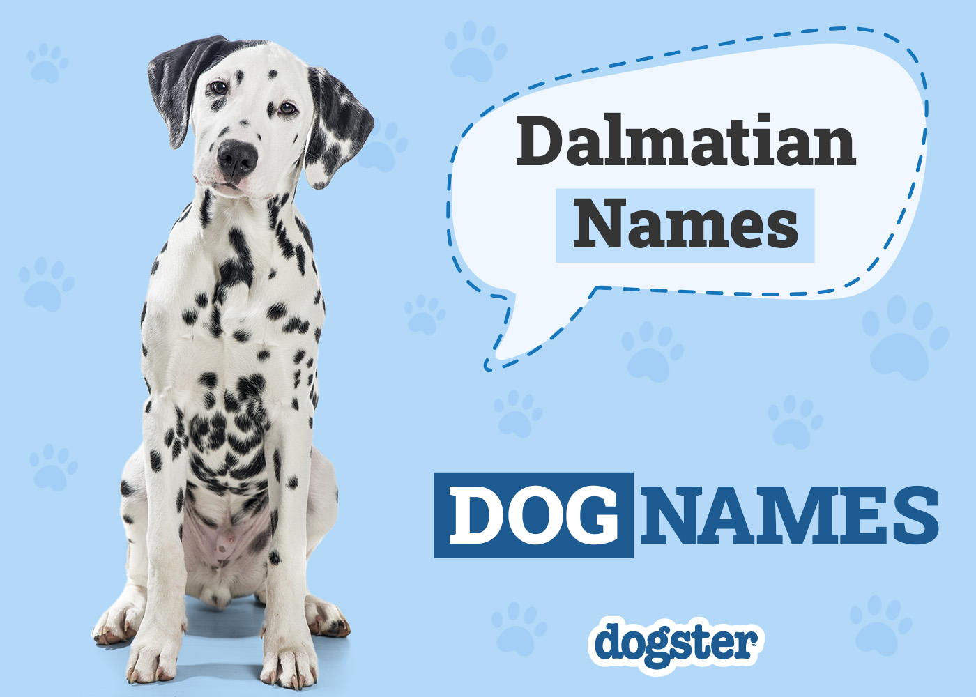 Dogster_Dalmatian Names