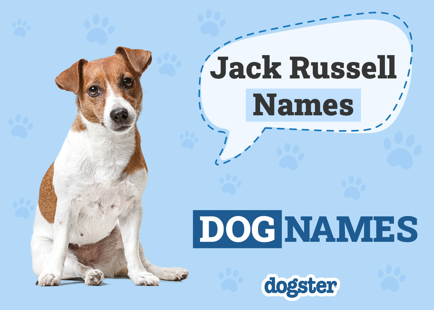 Dogster_Jack Russell Names