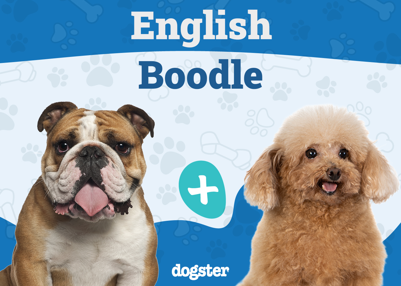 English Boodle Mix