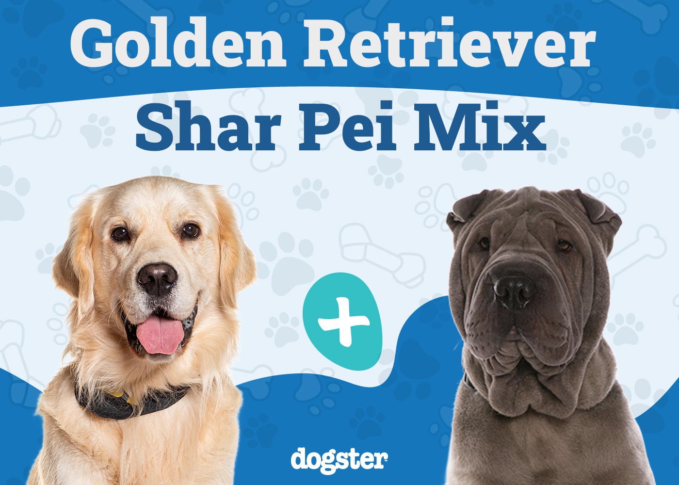 Golden Pei