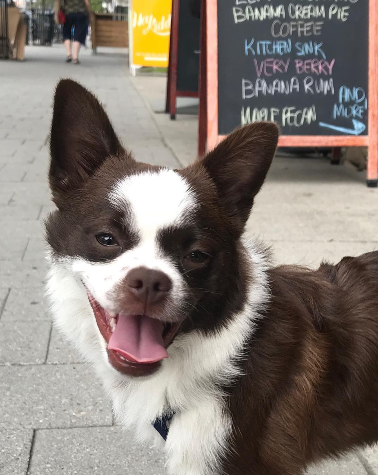 Pomston standing on a street
