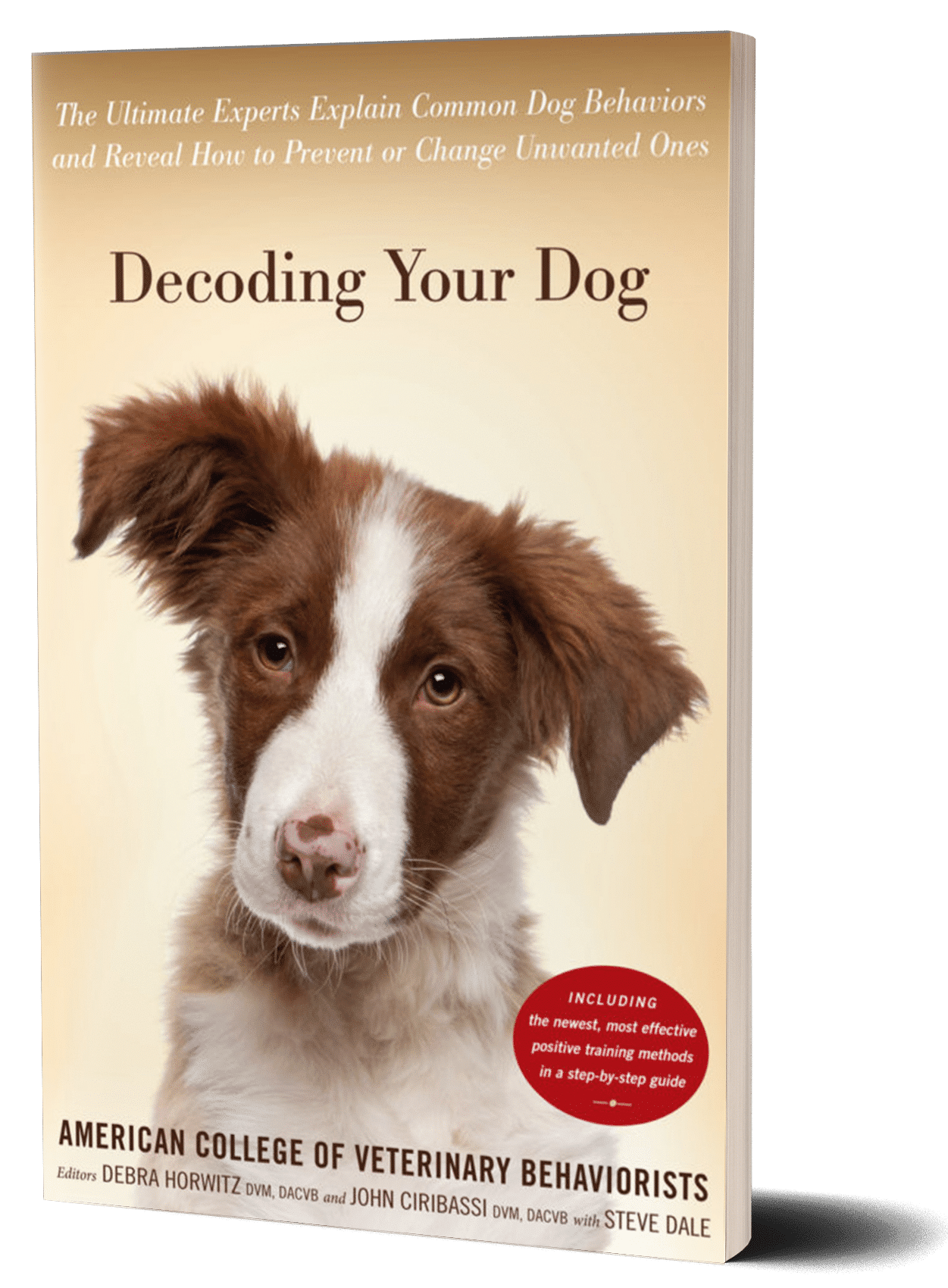 decoding your dog book cover