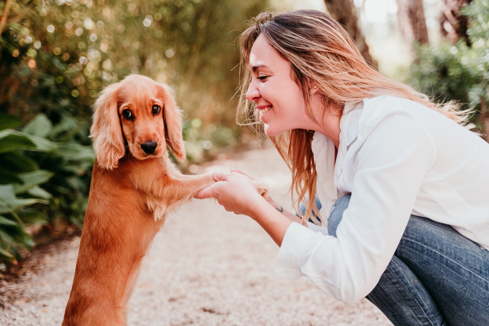 woman playing with her cocker spaniel puppy