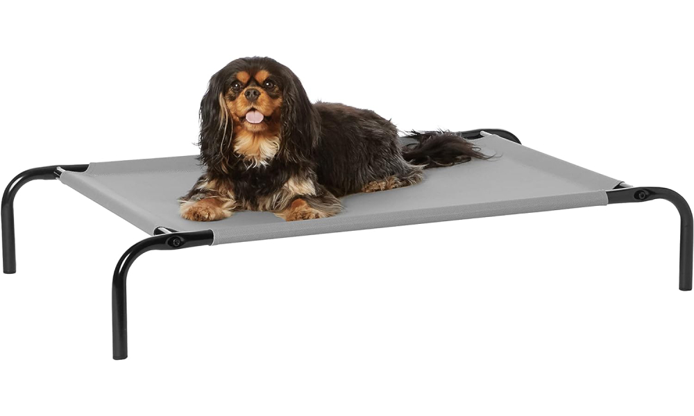Amazon Basics Cooling Elevated Dog Bed 