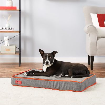 Brindle Waterproof Orthopedic Dog Bed